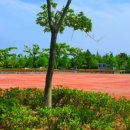 하단동1211 이미지