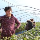 자영농장 이미지