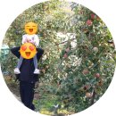 일미농원 이미지