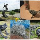 삼학초등학교 이미지