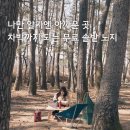 전남 노지 캠핑 명소 보성 겸백솔밭 (다락금유원지) 위치, 차박