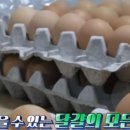 경순농장 네이버블로그