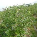 송삼농장2 이미지