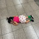 돌아기 걸음마 신발, 뉴발란스 대신 '아식스 스쿠스쿠2' 일본 직구 후기