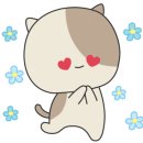 (주)아이챗 이미지