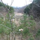 오곡농장 이미지