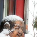 향림사 이미지