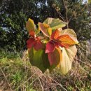 예덕피부관리 이미지