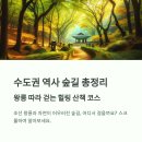길명 | 수도권 역사 숲길 총정리: 왕릉 따라 걷는 힐링 산책 코스