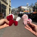 pet41거2047 | 경기 광주 놀거리 데이트로 커플 모루인형 만들기, 늘here