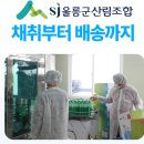 울릉산림유통
