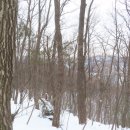 석성산 등산로 이미지