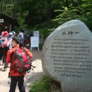 모아343차 지리산 청학동 삼신봉(1,284m) 산행 2009/5/24(네째주일요일) 이미지