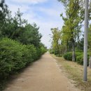 유수지공원 앞 이미지