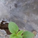 주왕산팬션민박 이미지