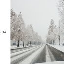 스테이블 타이어 이미지