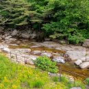 다연펜션 이미지