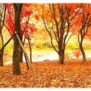 표충사놀이터(=표충사야영장) 이미지