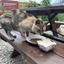 산업로1-1 이미지