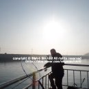 무안꽃낚시