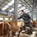 대구가축병원 이미지