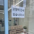 시원애견간식 이미지
