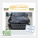 금강의전 이미지