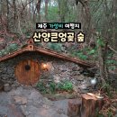 산양농장 | 제주 가볼만한곳 산양큰엉곶 숲 테마 산책로 &amp; 포토존 총정리