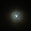 베스트오브미여성의원 | [ 난임 일기 📝 ] 베스트오브미 여성의원 후기 (feat. 배란 주기 맞추기)