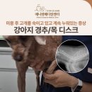 애니컴 메디컬센터 이미지