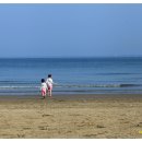 춘장대 해수욕장 Daum카페