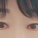 래쉬홍&네일리 네이버블로그
