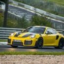 Luxury Dog 이미지