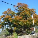 내서읍430 이미지