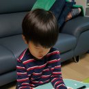 짱아PC 이미지