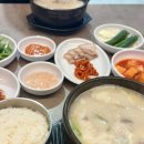 가마솥통돼지국밥 | 부산대역 국밥 장전동 돼지국밥 맛집 진경가마솥 돼지국밥 특모듬국밥 후기