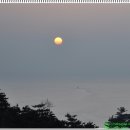 유림-5 이미지