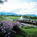 세이브투어 이미지