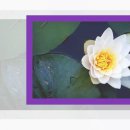 1945김근치과의원 이미지