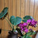 오가면주민자치센터 이미지