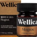 모그모그