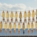 도모다찌 이미지