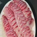 남양주 실내 바다낚시터 이미지