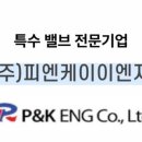 (주)피엔케이 네이버블로그