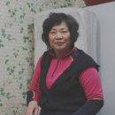 잉꼬식당 이미지
