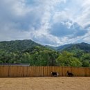 물과숲민박 이미지