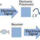 Transducer 이미지