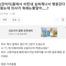 털동물 사랑하는 메리쫑쫑캡쳐1 이미지