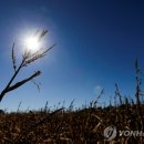 상승농장1 이미지