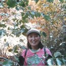 만리포중학교 이미지